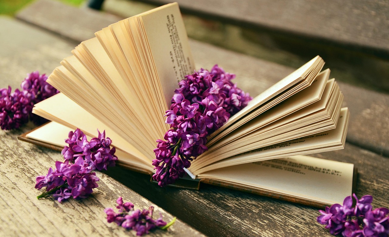 a book, read, relax, lilac, bank, old, book pages, still life, browse, paper, open, leafed through, literature, relax, lilac, lilac, lilac, lilac, lilac, bank, still life, still life, still life, still life, literature